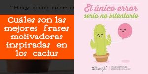 Cuáles son las mejores frases motivadoras inspiradas en los cactus
